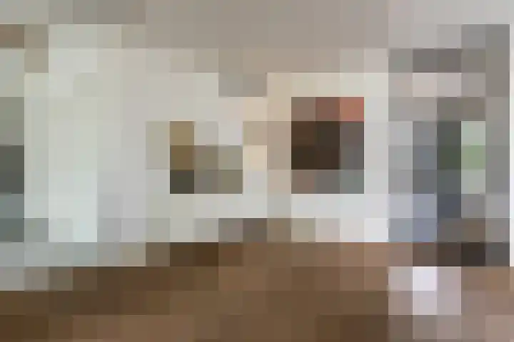 Vosseweide 4 Veghel thumbnail 8