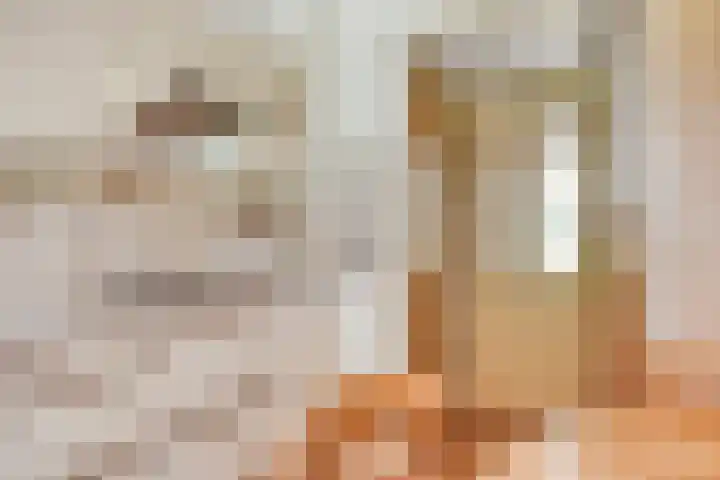 Vossiuslaan 19 Zwolle thumbnail 10