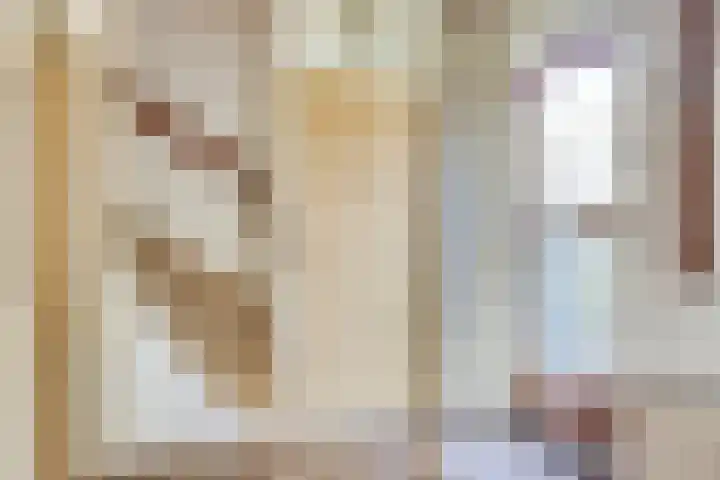 Vossiuslaan 19 Zwolle thumbnail 12