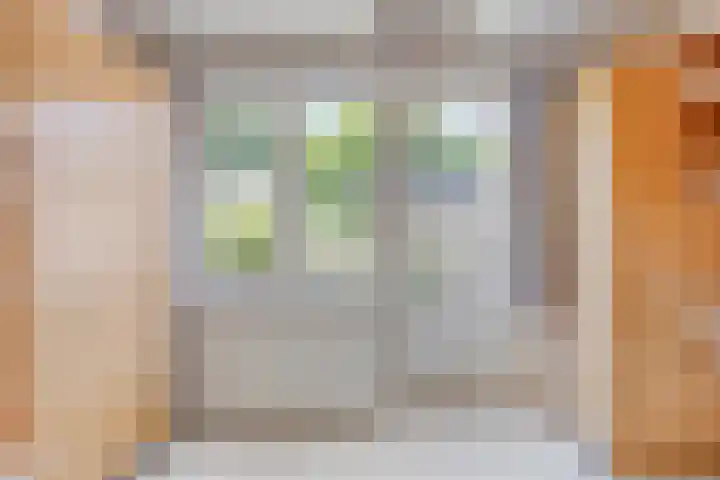 Vossiuslaan 19 Zwolle thumbnail 16