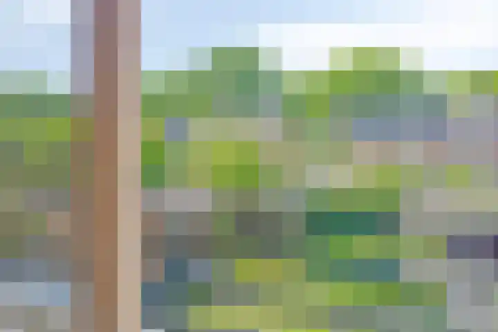 Vossiuslaan 19 Zwolle thumbnail 18