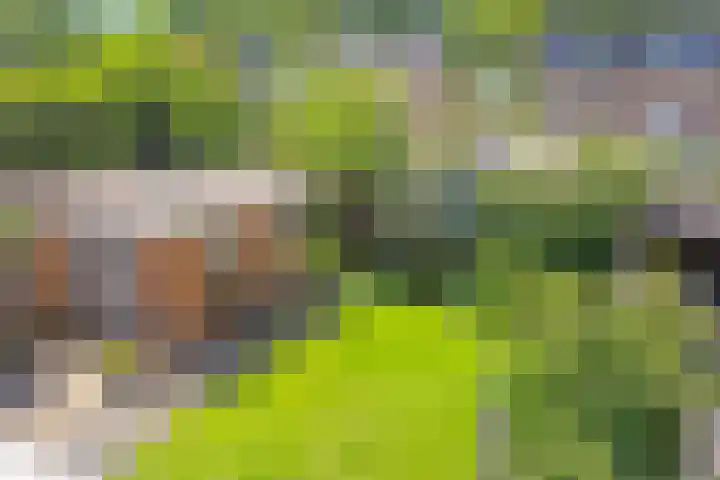 Vossiuslaan 19 Zwolle thumbnail 19
