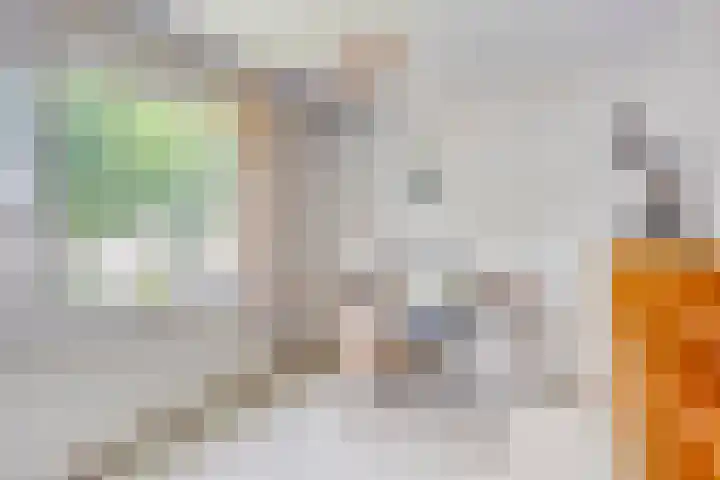 Vossiuslaan 19 Zwolle thumbnail 20