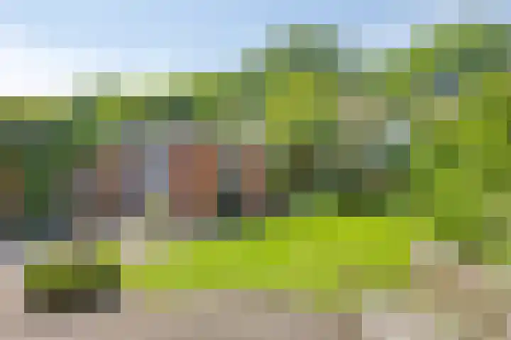 Vossiuslaan 19 Zwolle thumbnail 29