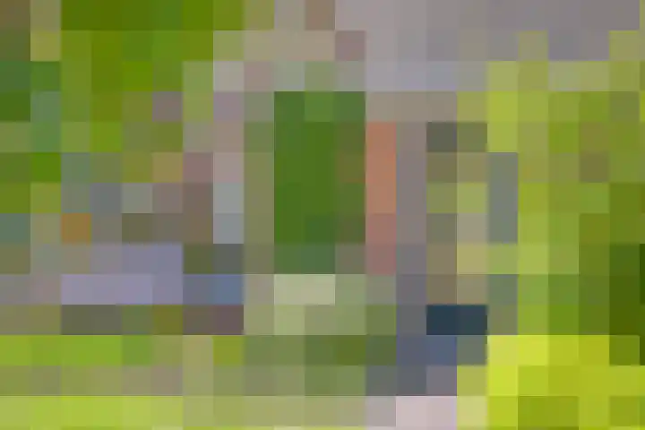 Vossiuslaan 19 Zwolle thumbnail 34