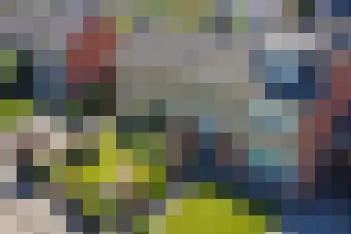 Vossiuslaan 19 Zwolle thumbnail 37
