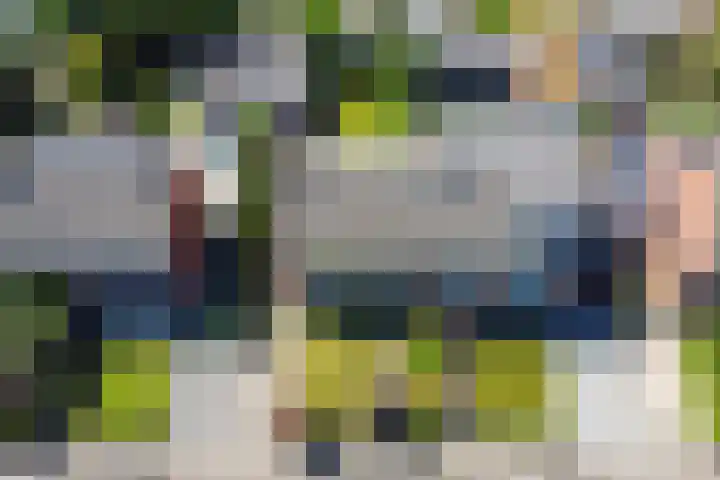 Vossiuslaan 19 Zwolle thumbnail 38