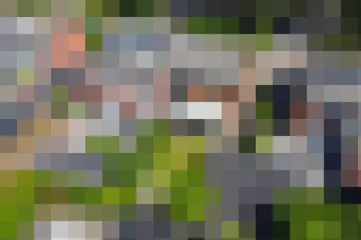 Vossiuslaan 19 Zwolle thumbnail 39