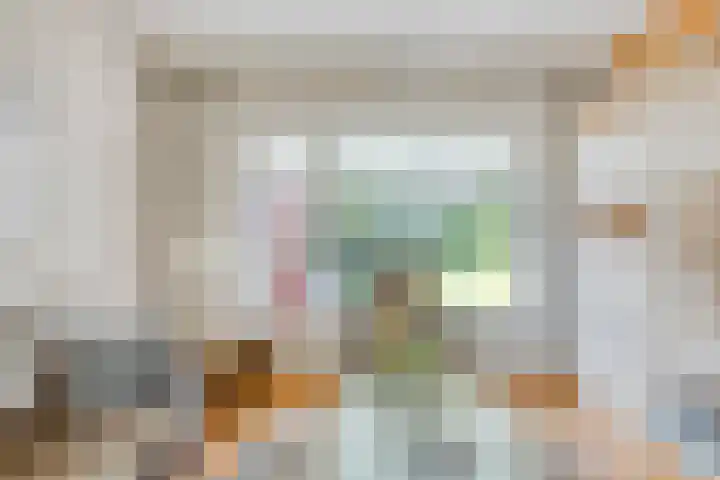 Vossiuslaan 19 Zwolle thumbnail 4