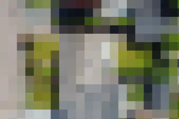 Vossiuslaan 19 Zwolle thumbnail 40
