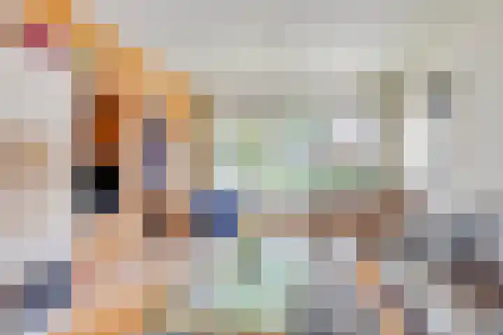 Vossiuslaan 19 Zwolle thumbnail 5