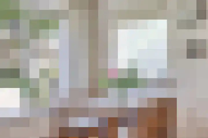 Vossiuslaan 19 Zwolle thumbnail 6
