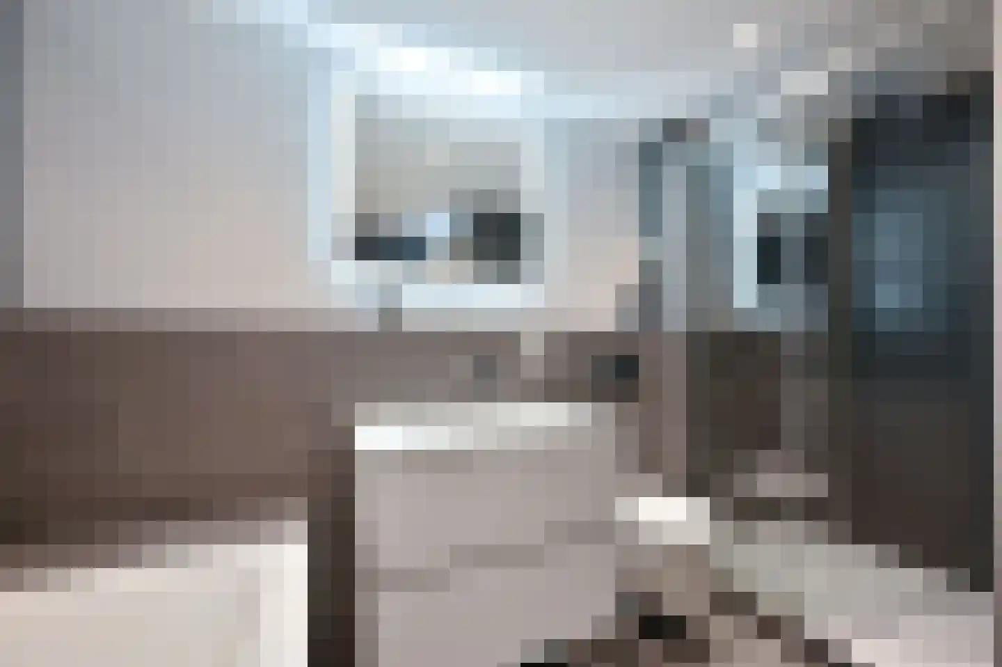Vossiuslaan 30 Leiderdorp thumbnail 20