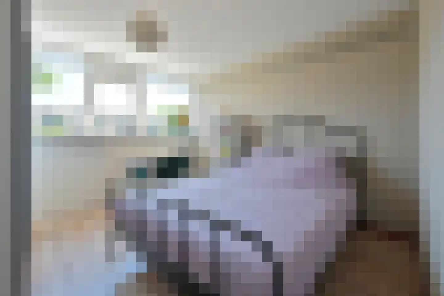 Vossiuslaan 30 Leiderdorp thumbnail 21