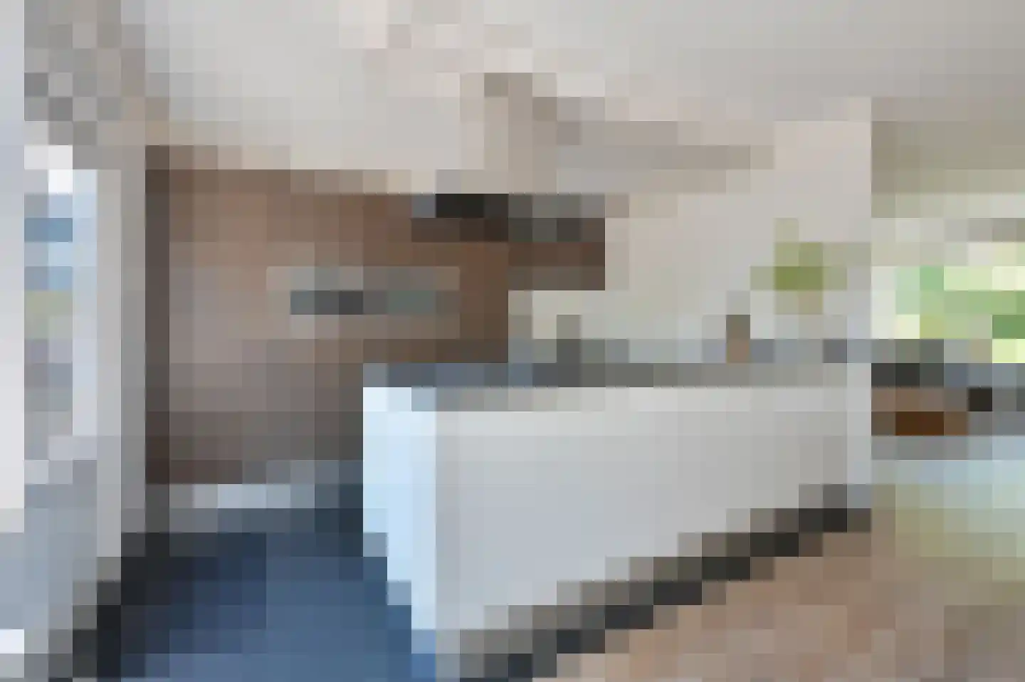 Vossiuslaan 30 Leiderdorp thumbnail 4