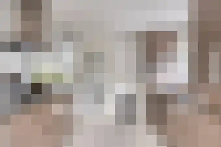 Vossiuslaan 4 Zwolle thumbnail 10