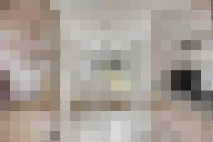 Vossiuslaan 4 Zwolle thumbnail 11