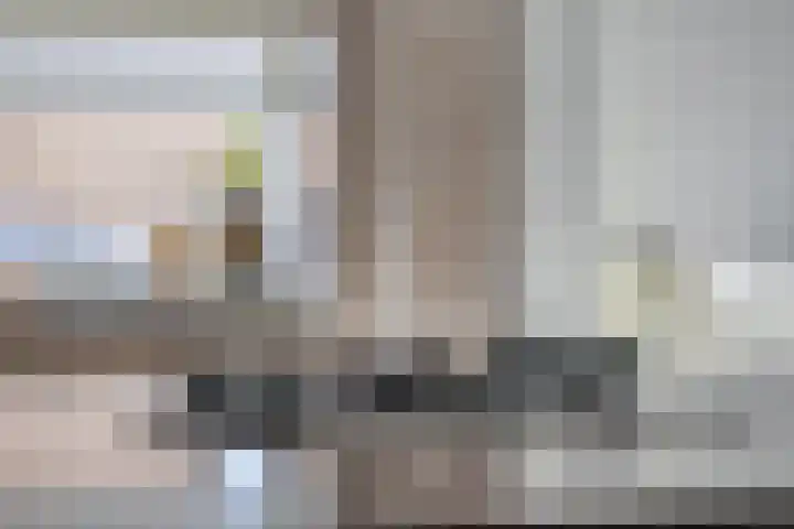 Vossiuslaan 4 Zwolle thumbnail 12