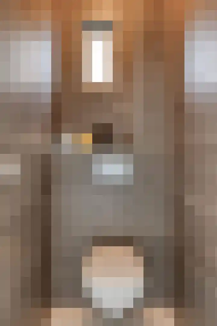 Vossiuslaan 4 Zwolle thumbnail 13