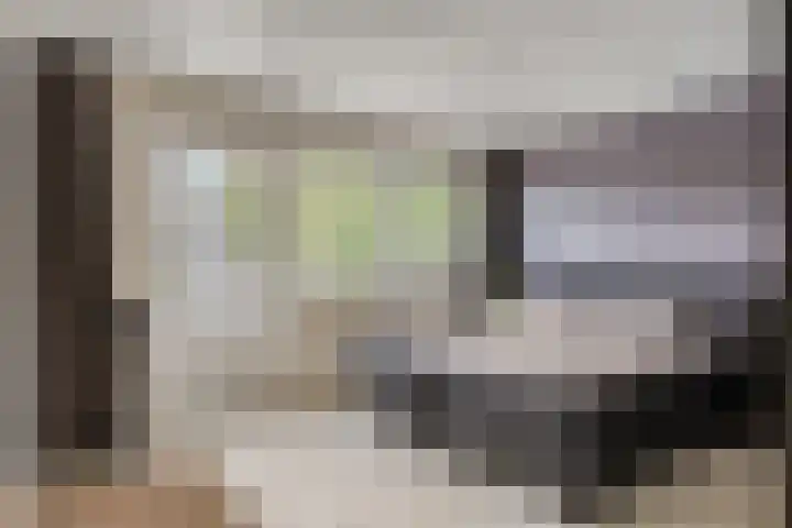 Vossiuslaan 4 Zwolle thumbnail 17