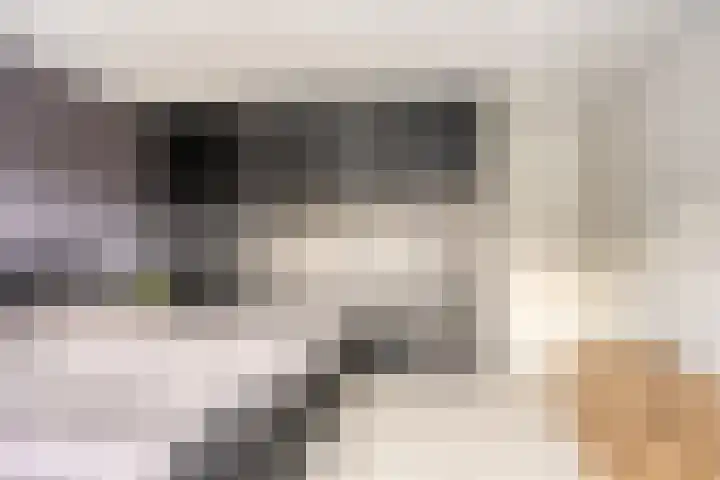 Vossiuslaan 4 Zwolle thumbnail 18