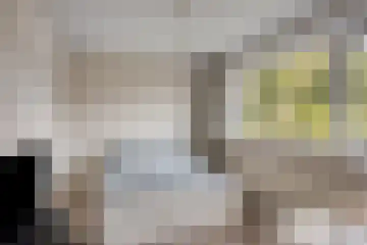 Vossiuslaan 4 Zwolle thumbnail 22