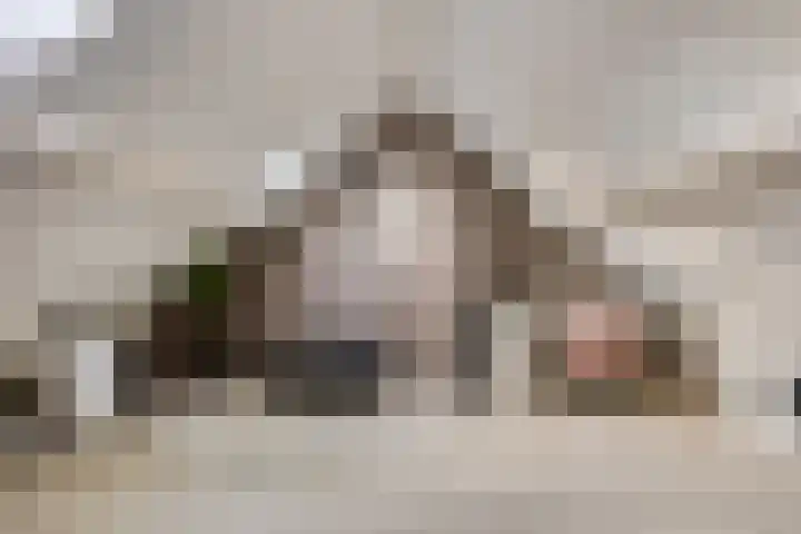 Vossiuslaan 4 Zwolle thumbnail 24