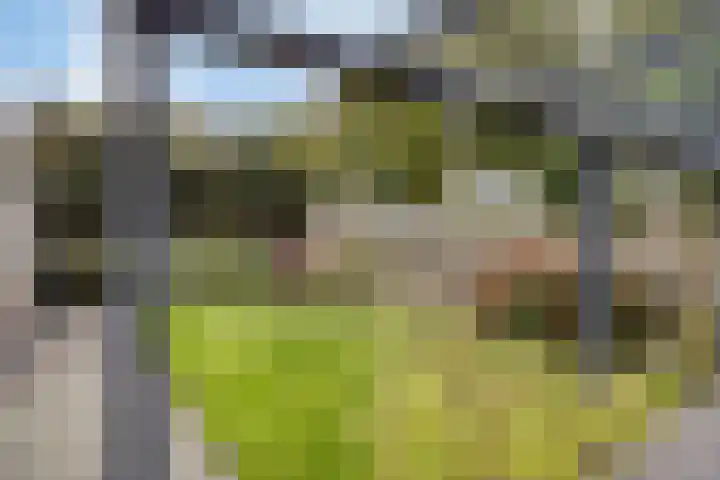 Vossiuslaan 4 Zwolle thumbnail 27