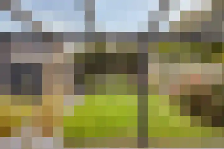 Vossiuslaan 4 Zwolle thumbnail 28