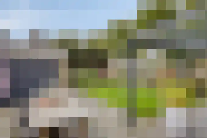 Vossiuslaan 4 Zwolle thumbnail 30