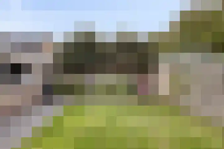 Vossiuslaan 4 Zwolle thumbnail 32