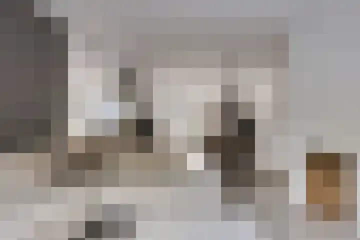 Vossiuslaan 4 Zwolle thumbnail 6