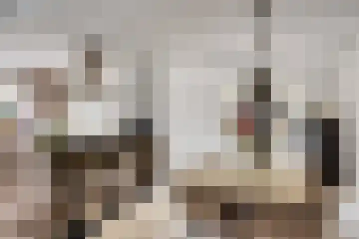 Vossiuslaan 4 Zwolle thumbnail 7