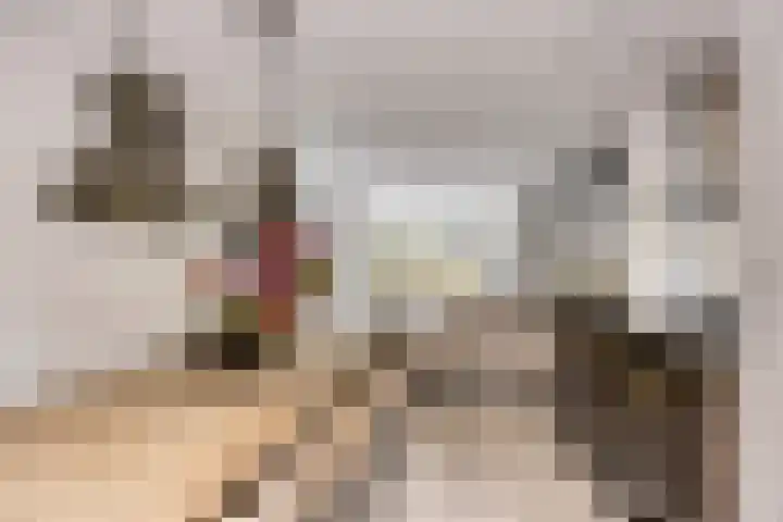 Vossiuslaan 4 Zwolle thumbnail 8
