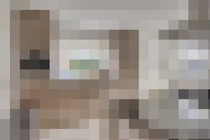 Vossiuslaan 4 Zwolle thumbnail 9
