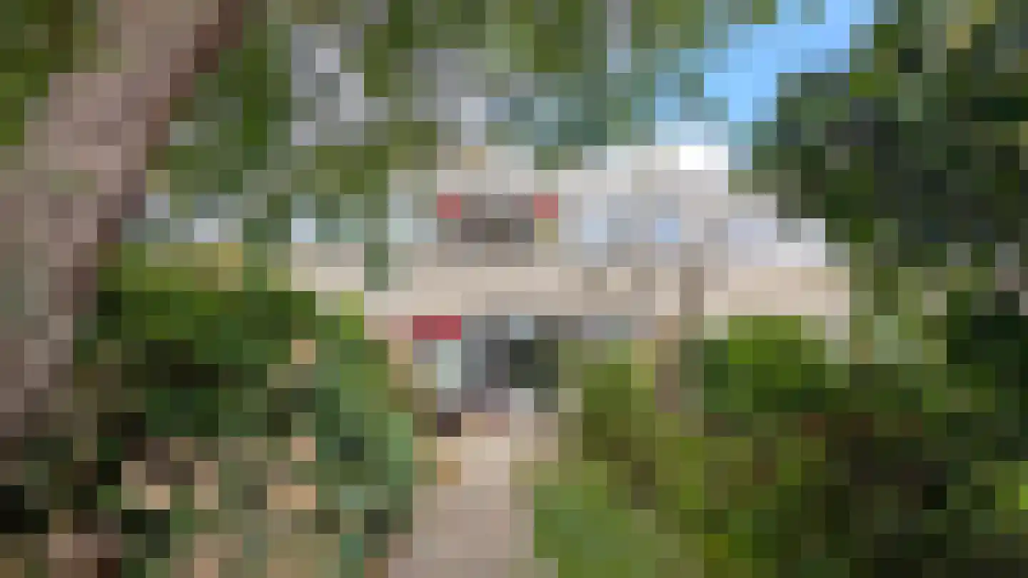 Vossiuslaan 42 Leiderdorp thumbnail 15