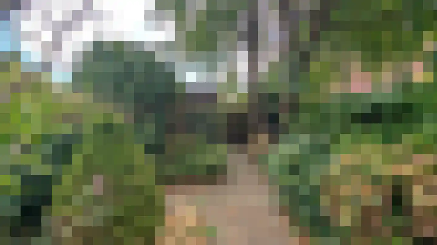 Vossiuslaan 42 Leiderdorp thumbnail 17
