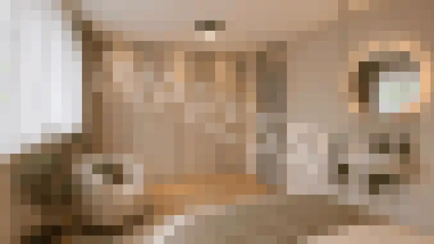 Vossiuslaan 42 Leiderdorp thumbnail 30