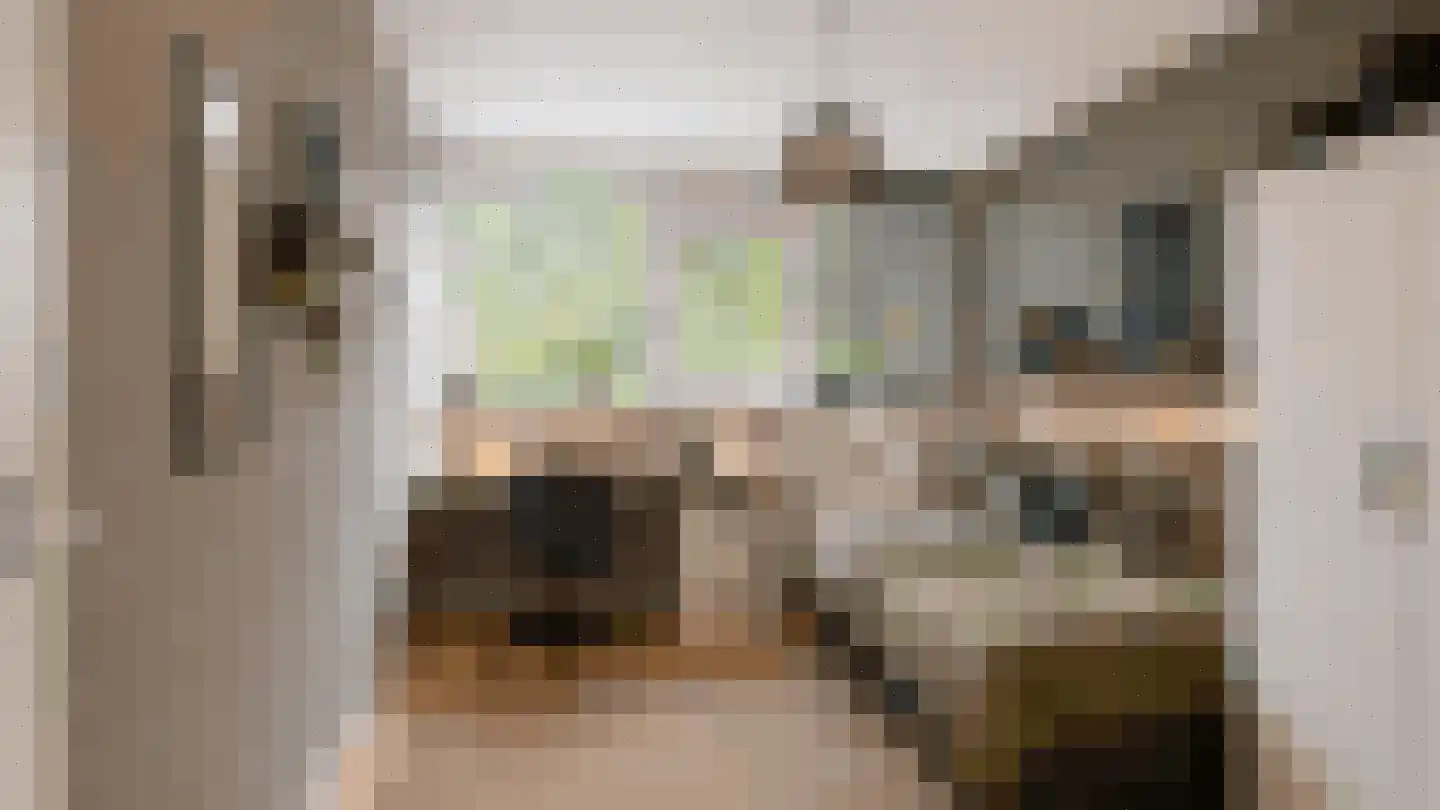 Vossiuslaan 42 Leiderdorp thumbnail 32