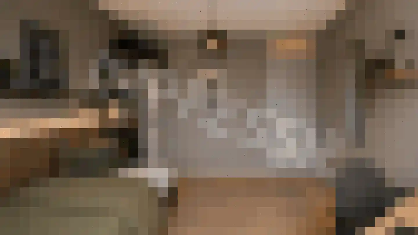 Vossiuslaan 42 Leiderdorp thumbnail 34