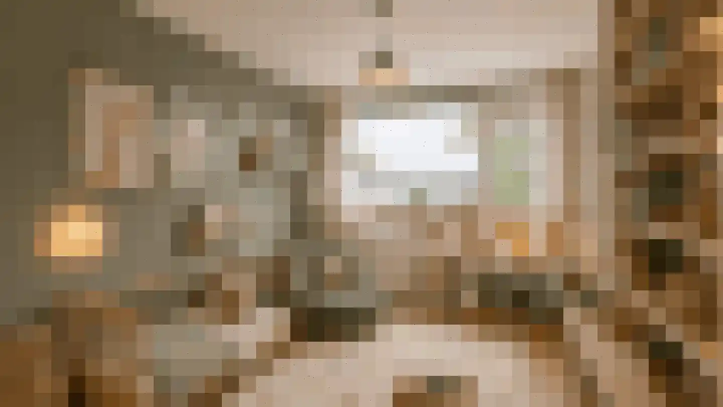 Vossiuslaan 42 Leiderdorp thumbnail 41