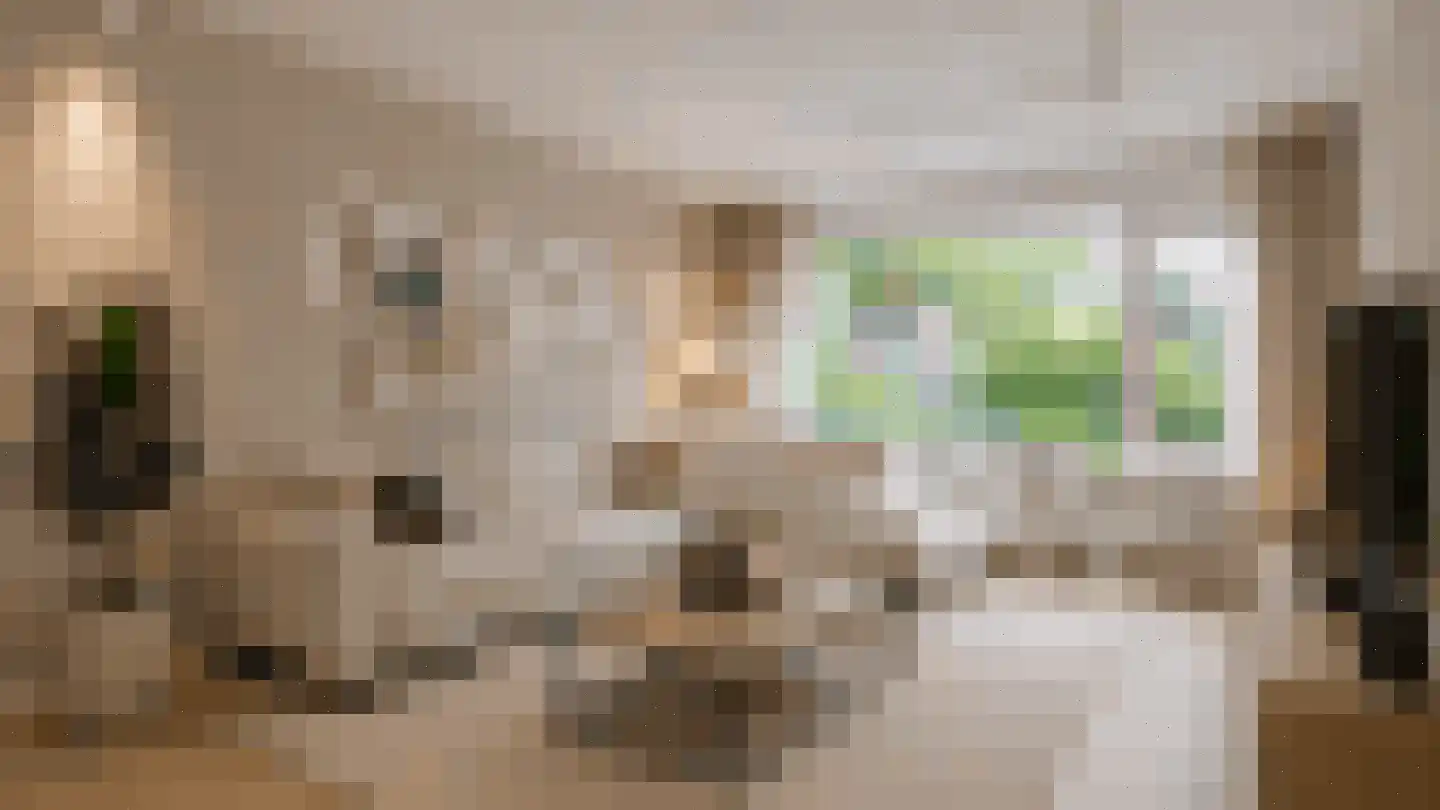 Vossiuslaan 42 Leiderdorp thumbnail 7