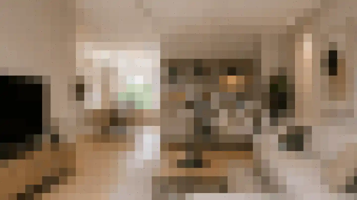 Vossiuslaan 42 Leiderdorp thumbnail 9
