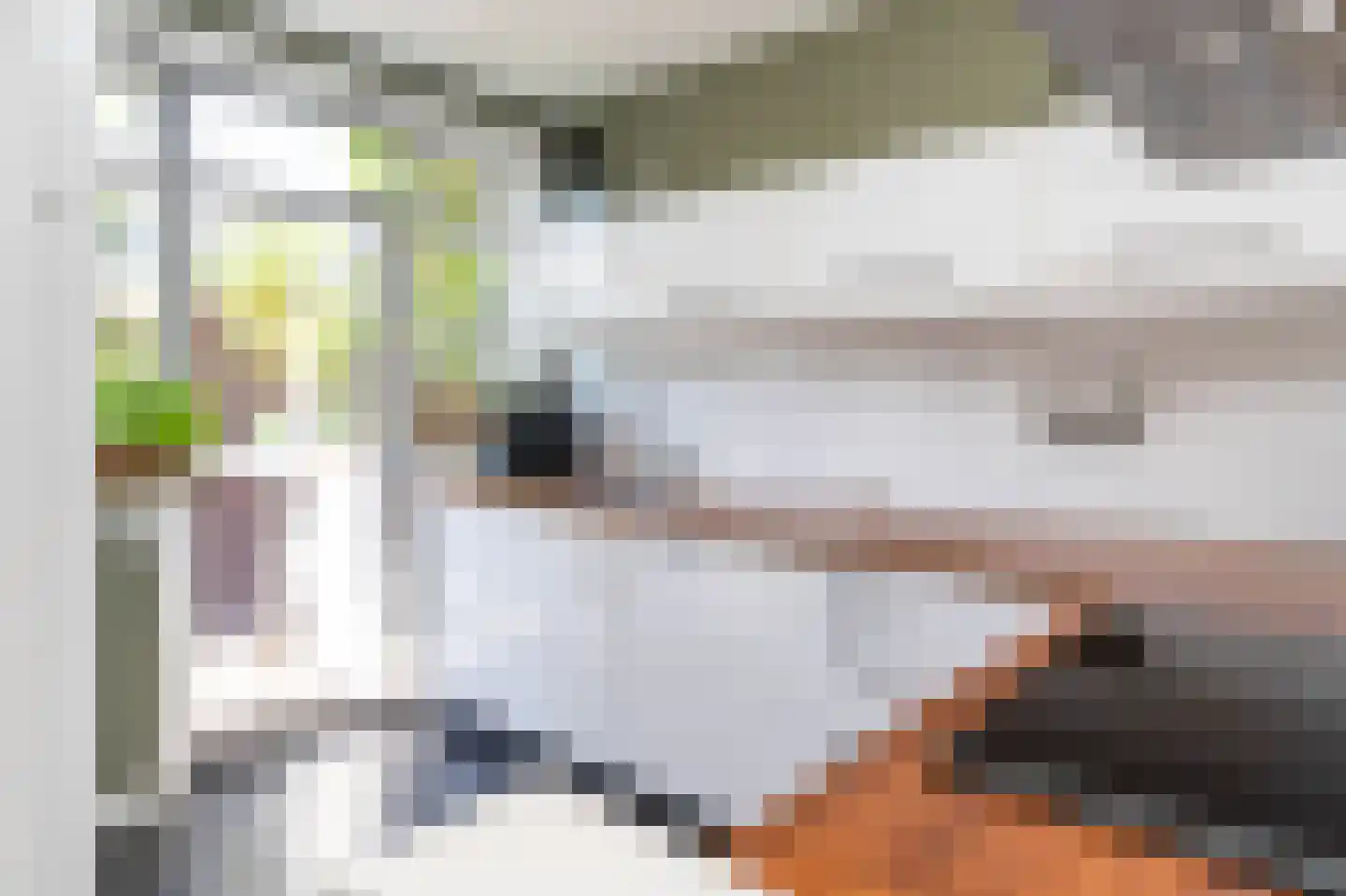 Vossiuslaan 51 Bussum thumbnail 14