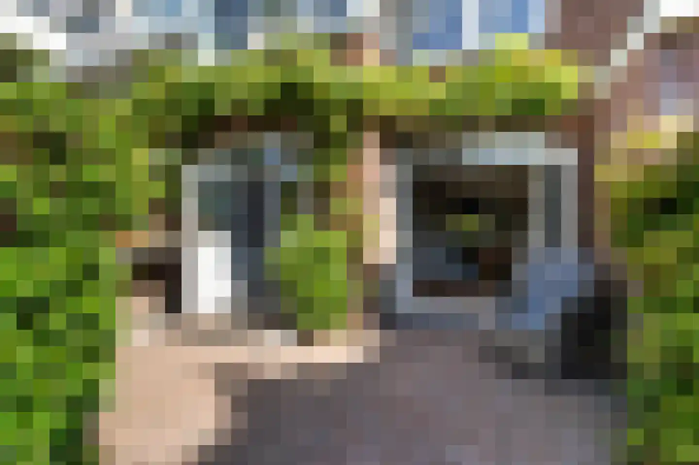 Vossiuslaan 51 Bussum thumbnail 15