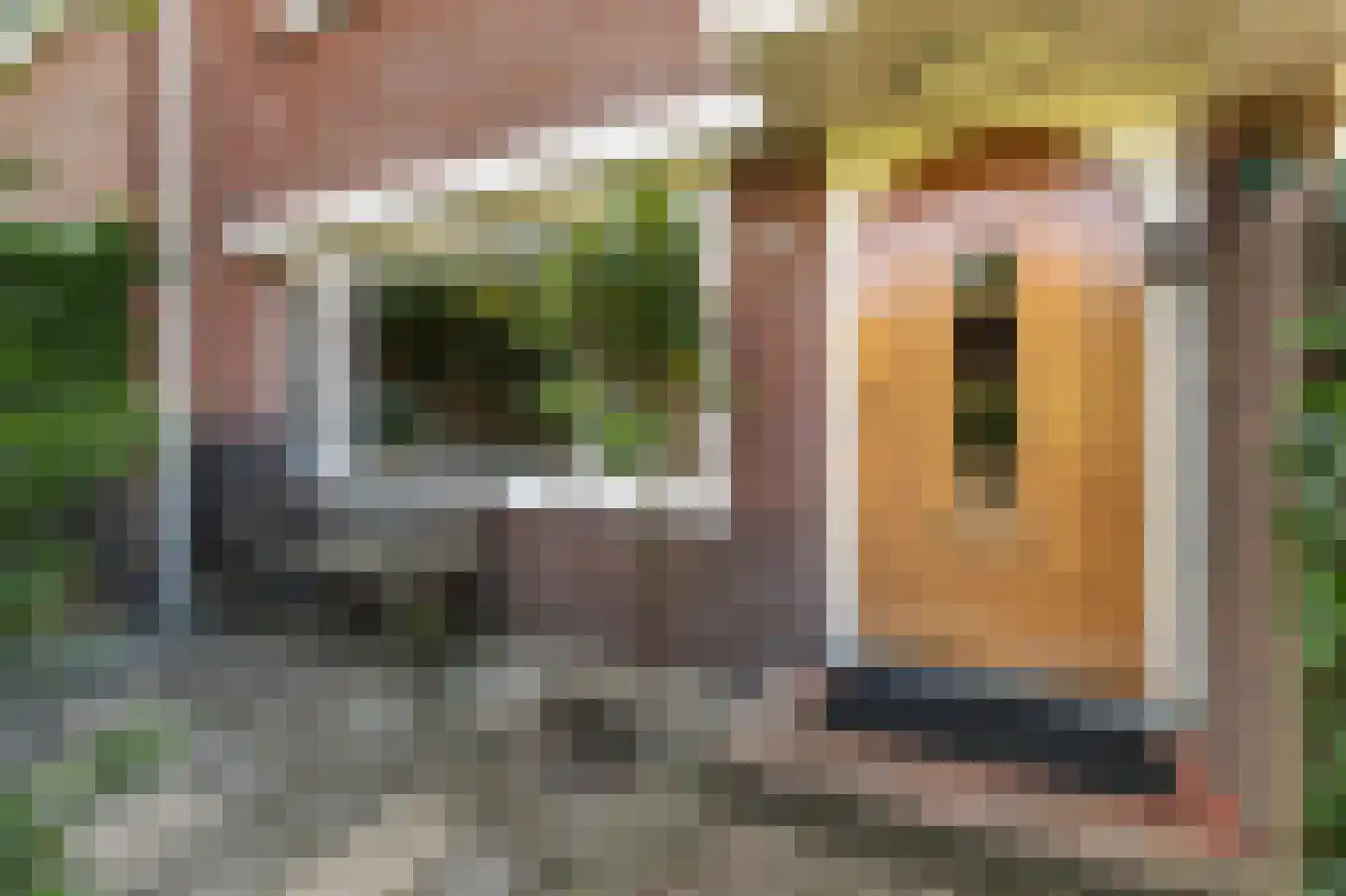 Vossiuslaan 51 Bussum thumbnail 29