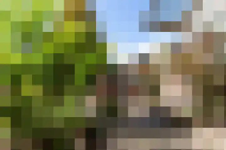 Vossiuslaan 69 Bussum thumbnail 11