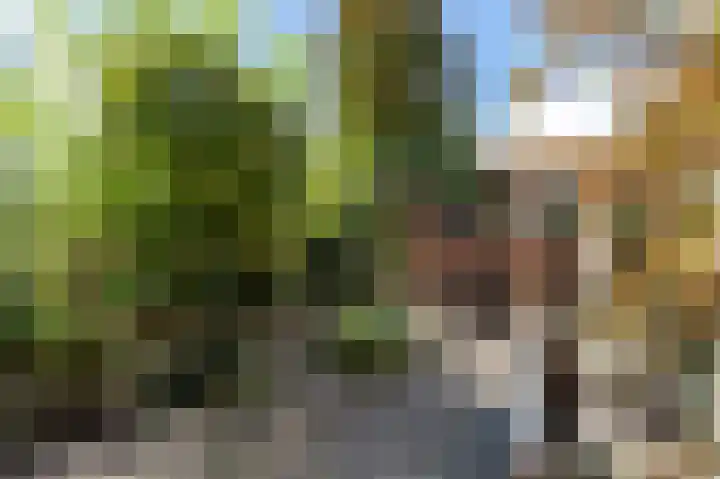 Vossiuslaan 69 Bussum thumbnail 12