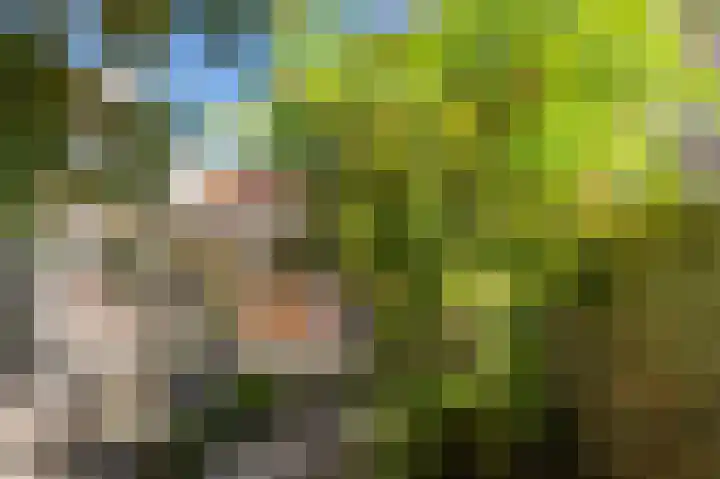 Vossiuslaan 69 Bussum thumbnail 13