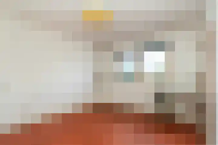 Vossiuslaan 69 Bussum thumbnail 17